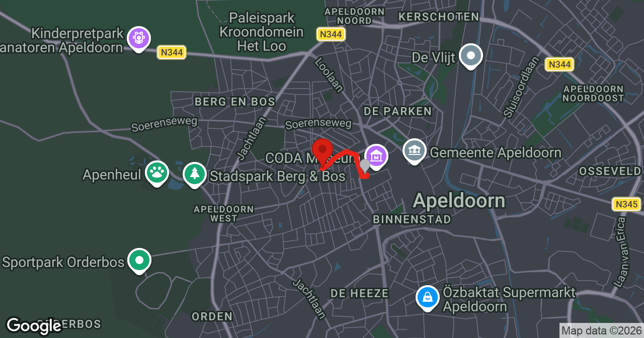 Kaart van de meldlocatie