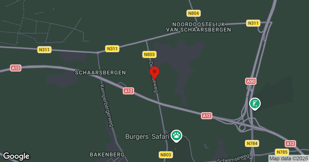 Kaart van de meldlocatie