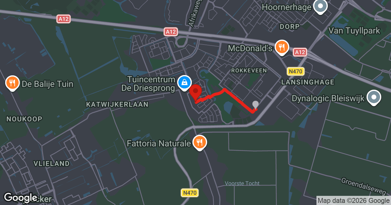 Kaart van de meldlocatie