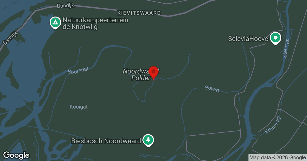 Kaart van de meldlocatie