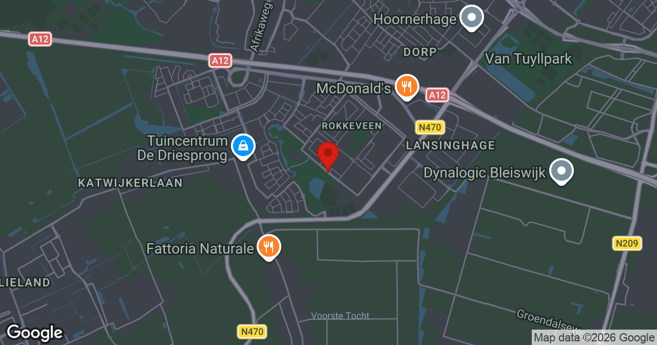 Kaart van de meldlocatie
