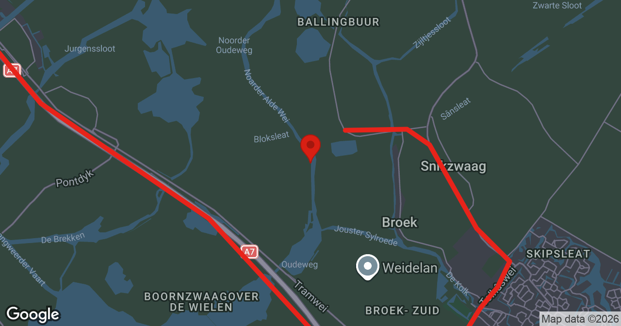 Kaart van de meldlocatie