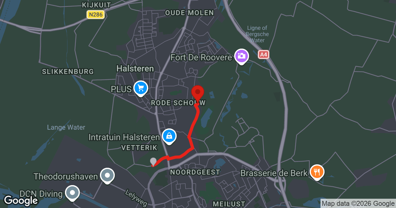 Kaart van de meldlocatie