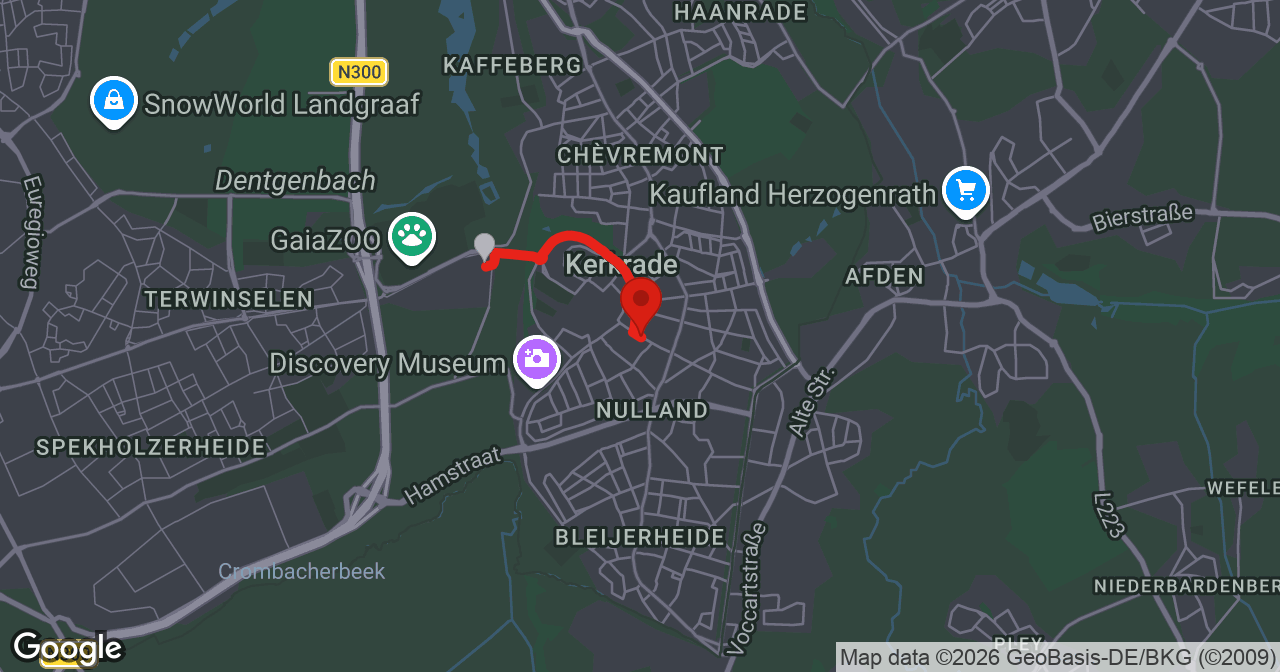 Kaart van de meldlocatie