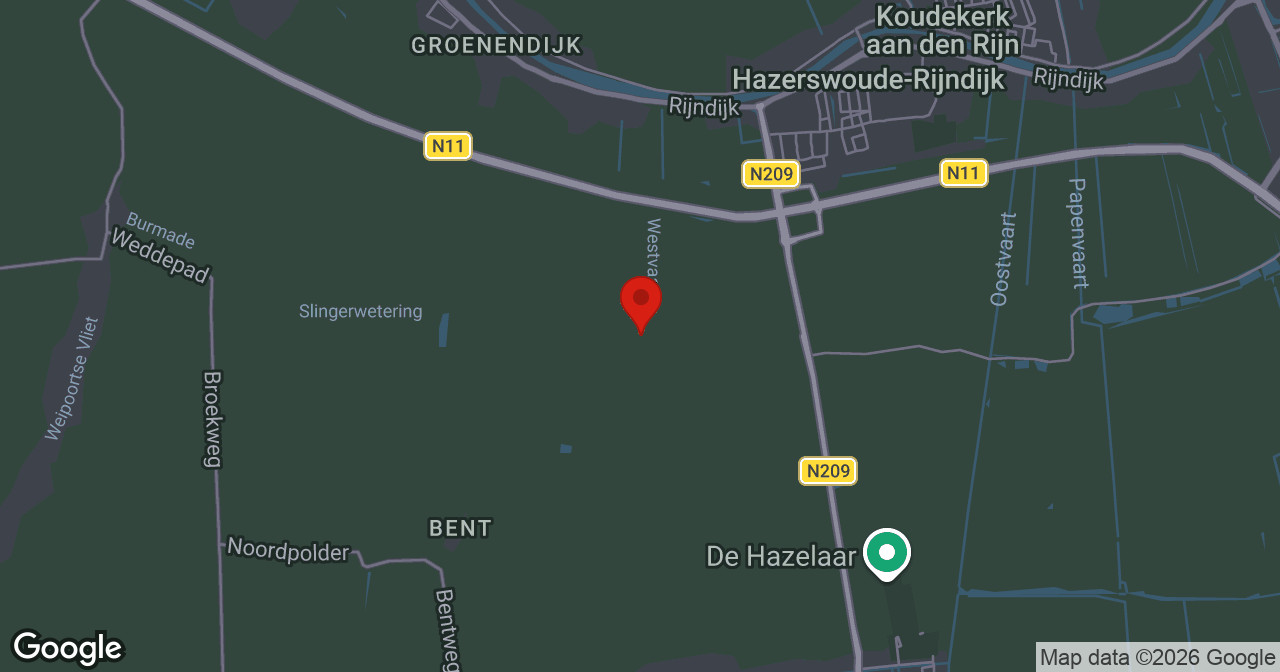 Kaart van de meldlocatie