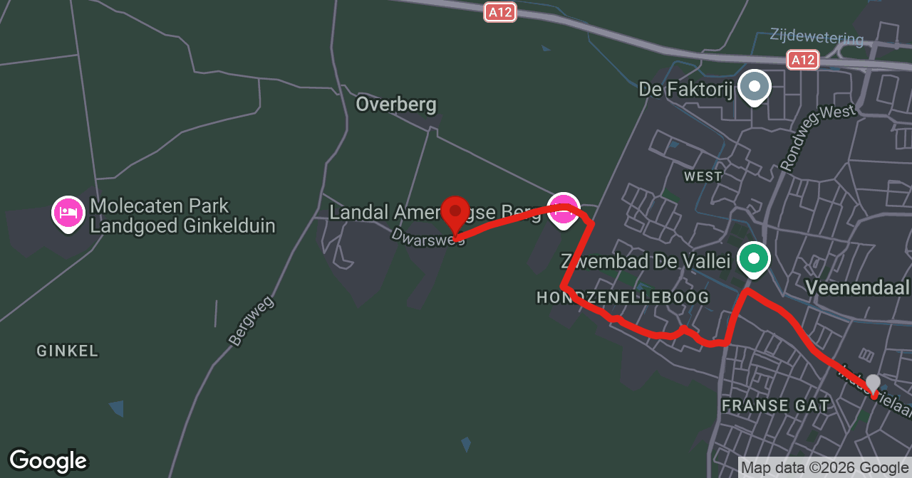 Kaart van de meldlocatie