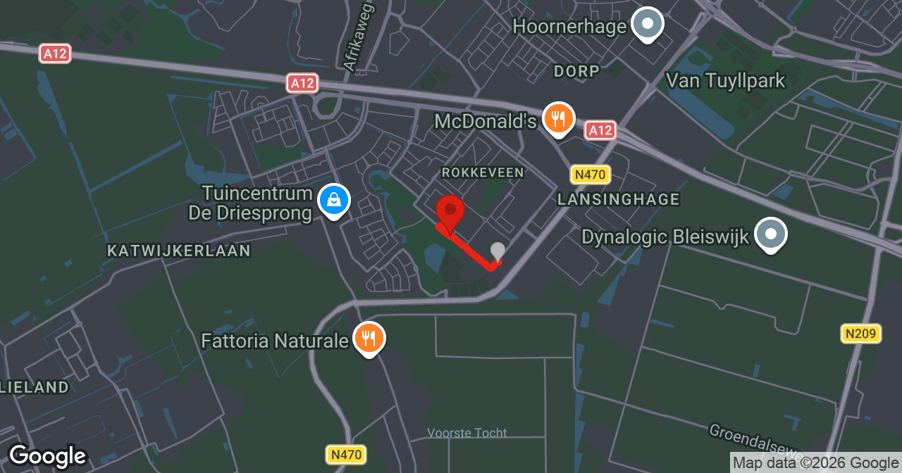 Kaart van de meldlocatie