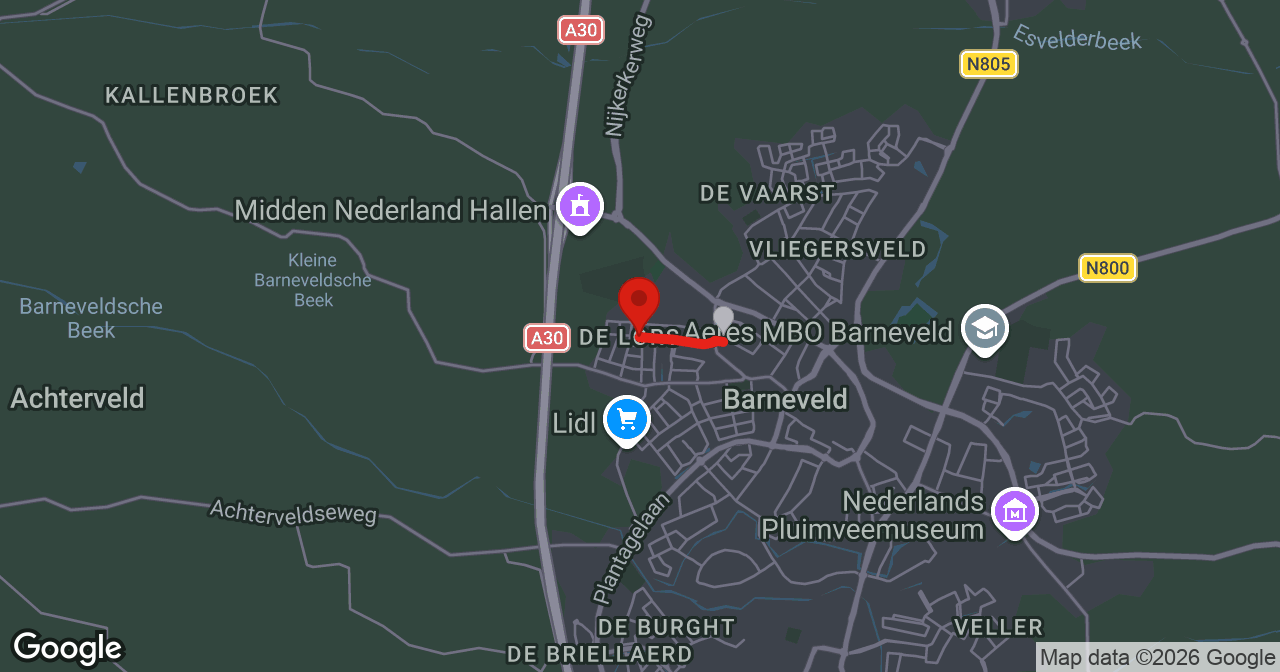 Kaart van de meldlocatie