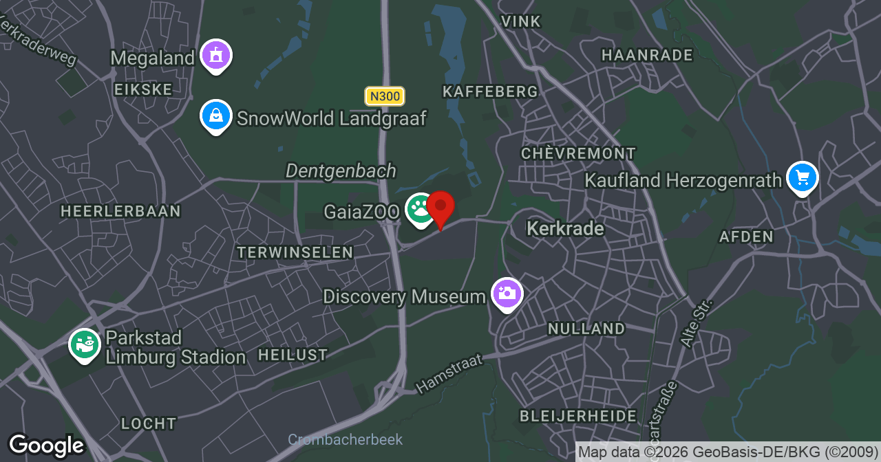 Kaart van de meldlocatie
