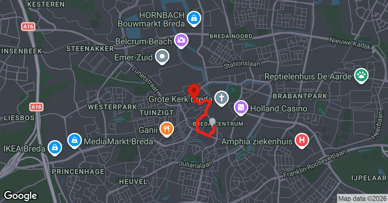 Kaart van de meldlocatie