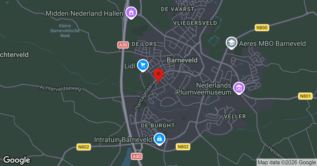 Kaart van de meldlocatie