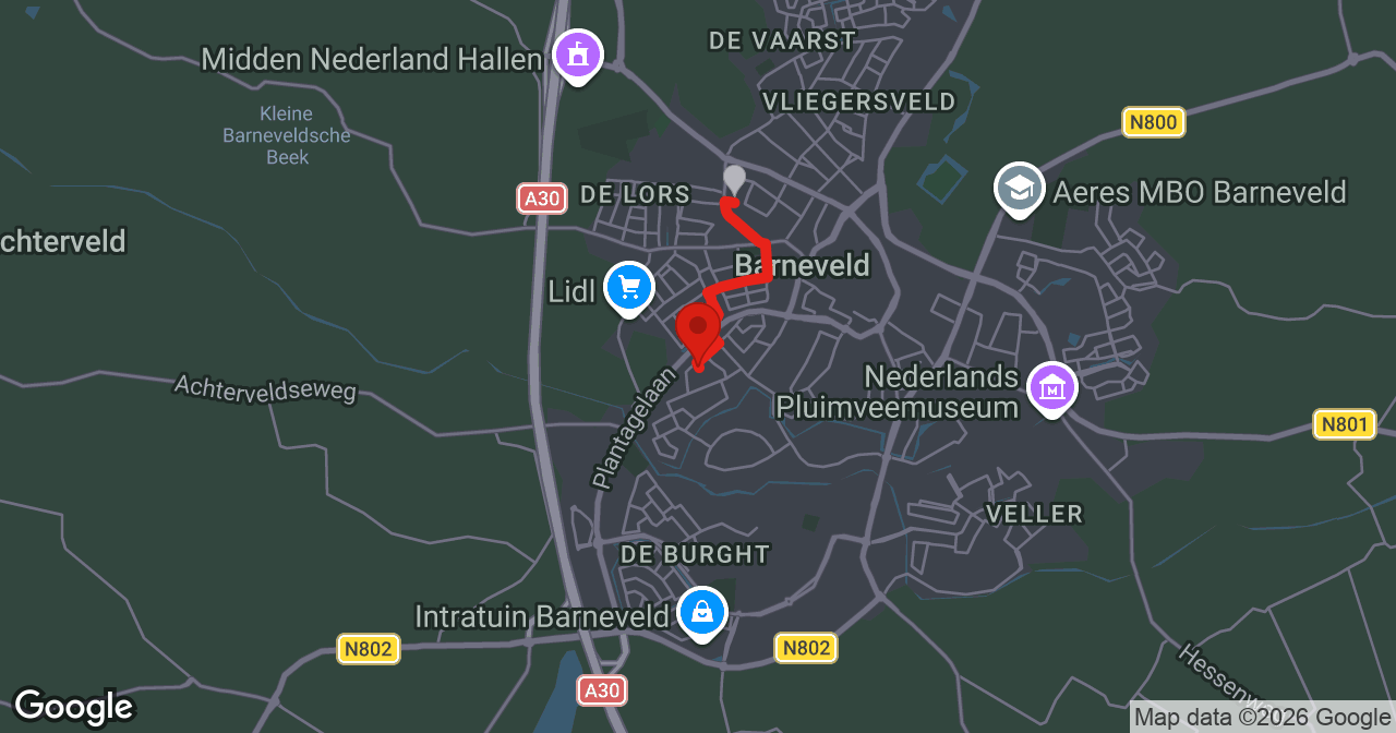 Kaart van de meldlocatie