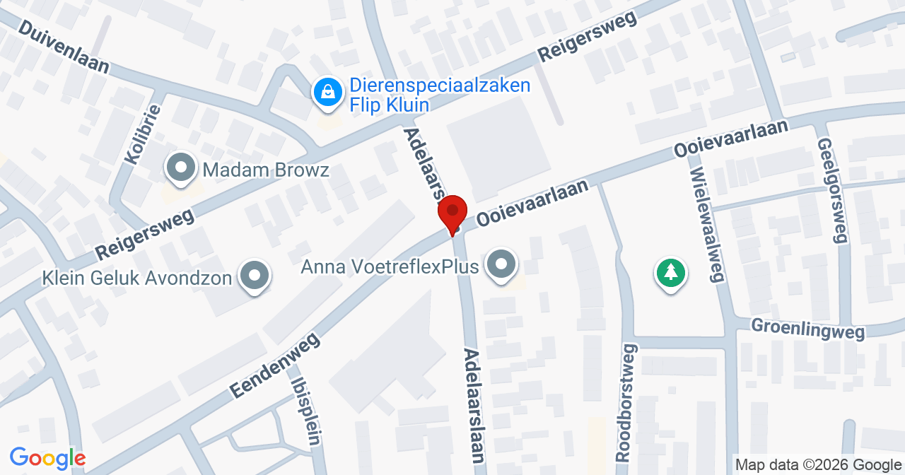 Kaart van het incident in Apeldoorn met berekende routes vanaf gealarmeerde posten