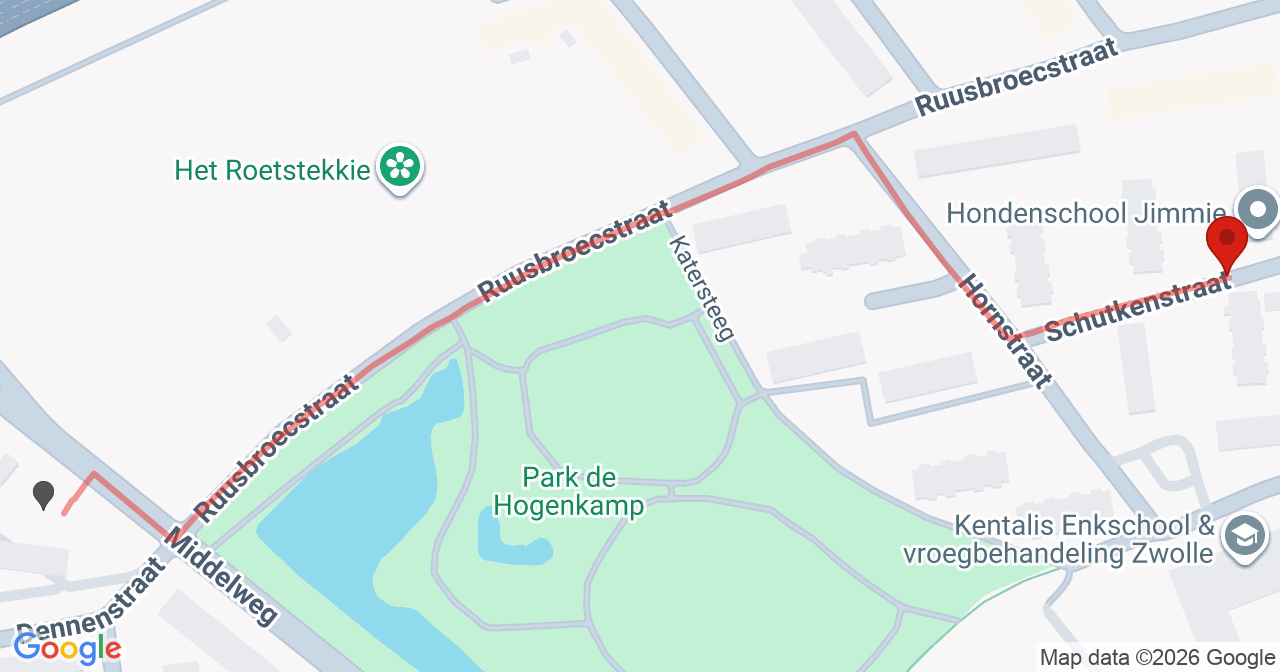 Kaart van het incident in Zwolle met de aanrijroutes van de gealarmeerde eenheden