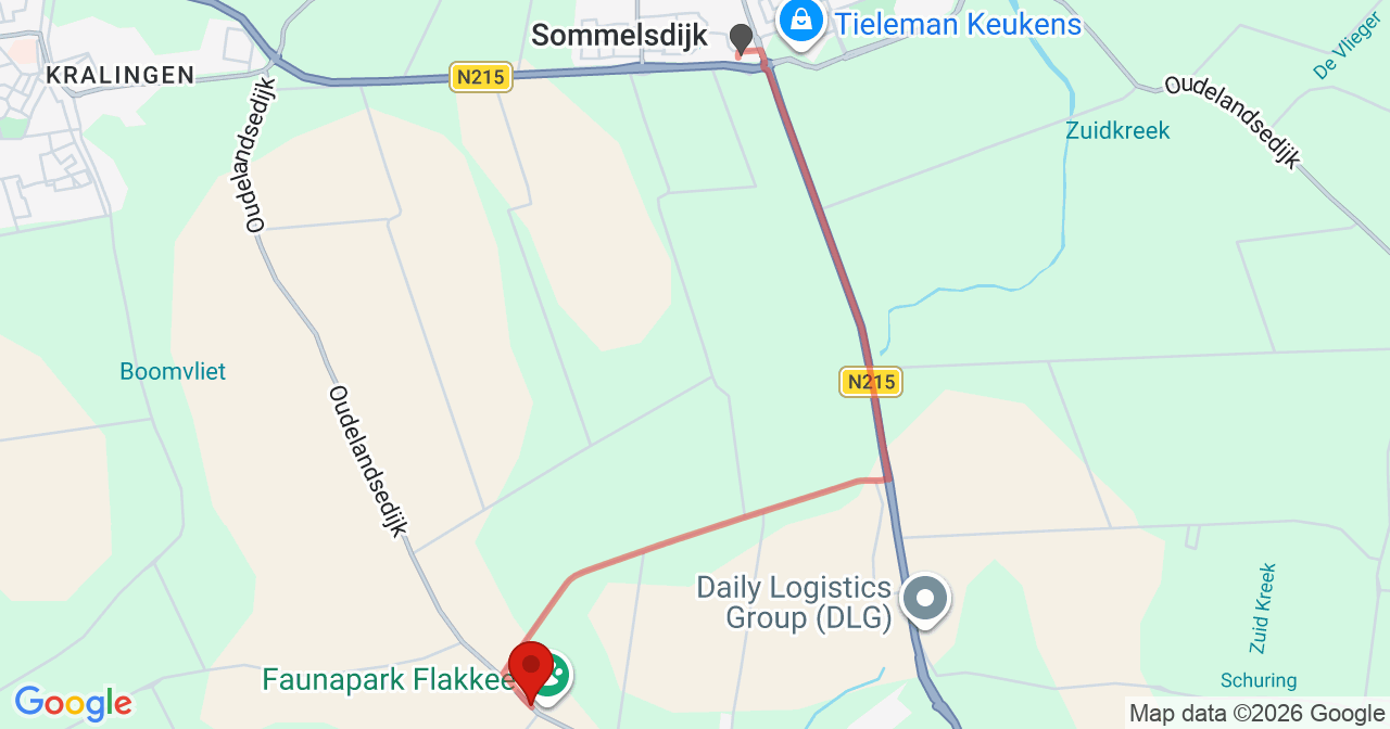 Kaart van het incident in Nieuwe-Tonge met de aanrijroutes van de gealarmeerde eenheden