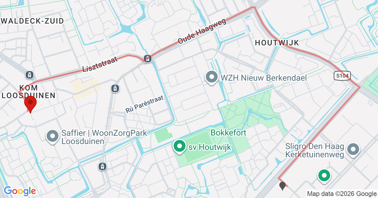 Kaart van het incident in 's-Gravenzande met de aanrijroutes van de gealarmeerde eenheden