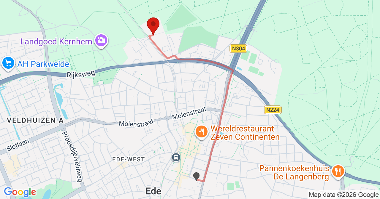 Kaart van het incident in Ede met berekende routes vanaf gealarmeerde posten