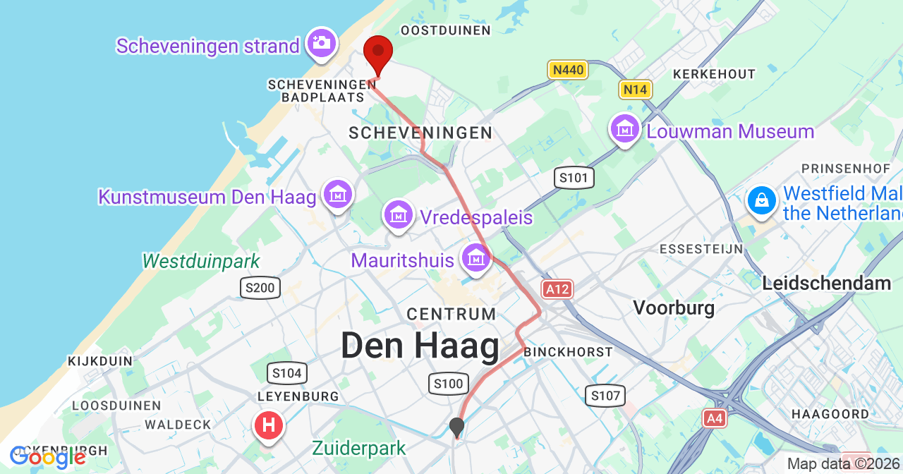 Kaart van het incident in 's-Gravenhage met de aanrijroutes van de gealarmeerde eenheden