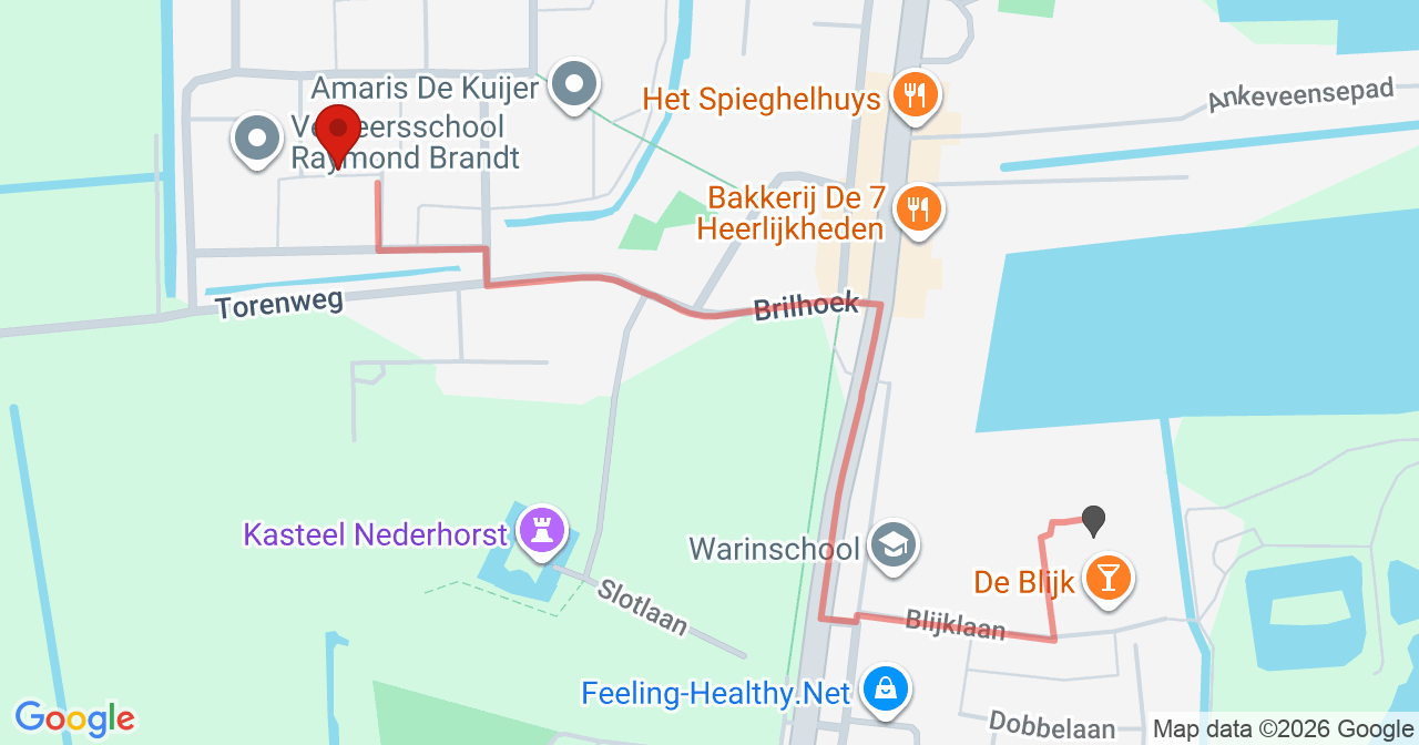 Kaart van het incident in Nederhorst den Berg met berekende routes vanaf gealarmeerde posten