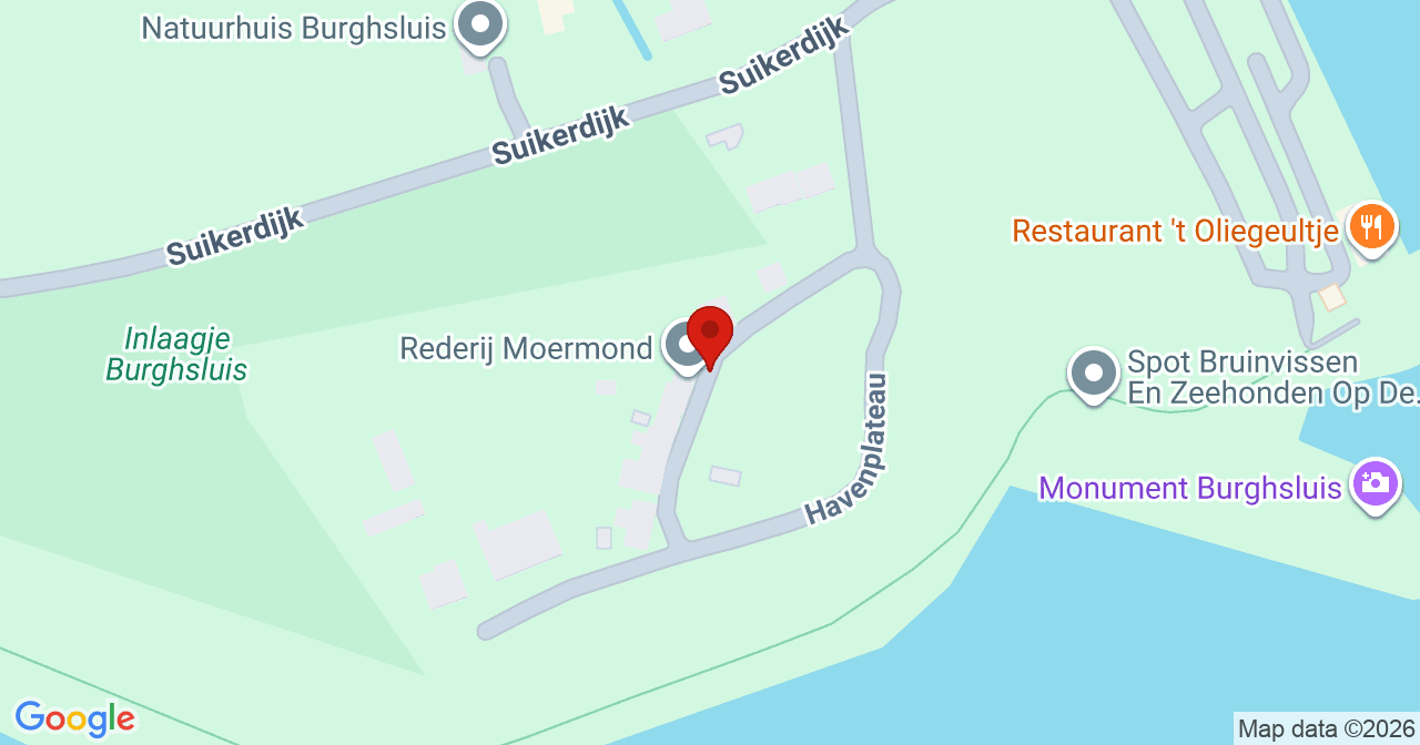 Kaart van het incident in Burgh-Haamstede met de aanrijroutes van de gealarmeerde eenheden