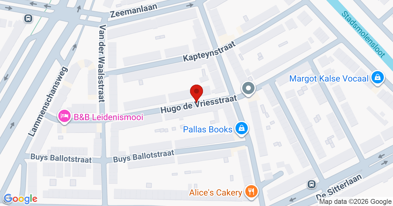 Kaart van het incident in Leiden met de aanrijroutes van de gealarmeerde eenheden
