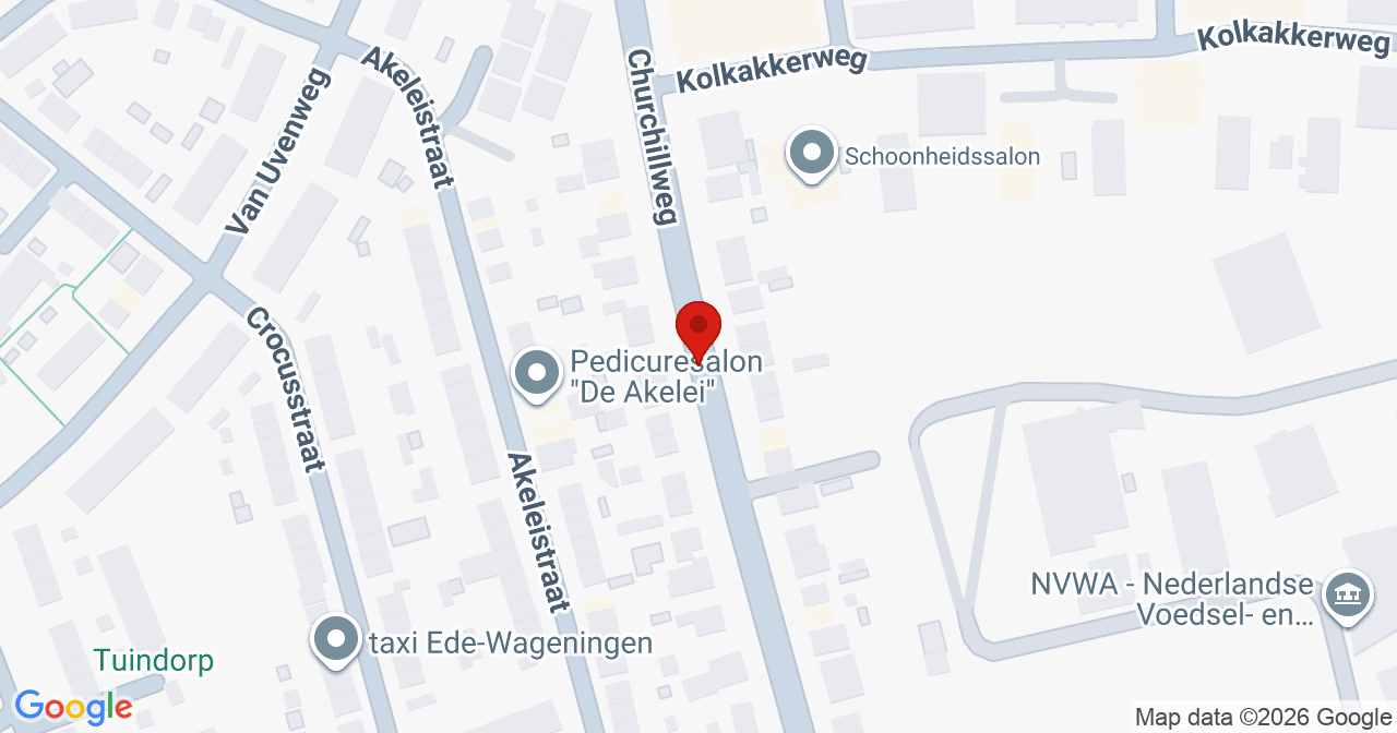 Kaart van het incident in Wageningen met berekende routes vanaf gealarmeerde posten
