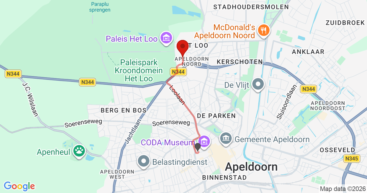 Kaart van het incident in Apeldoorn met de aanrijroutes van de gealarmeerde eenheden