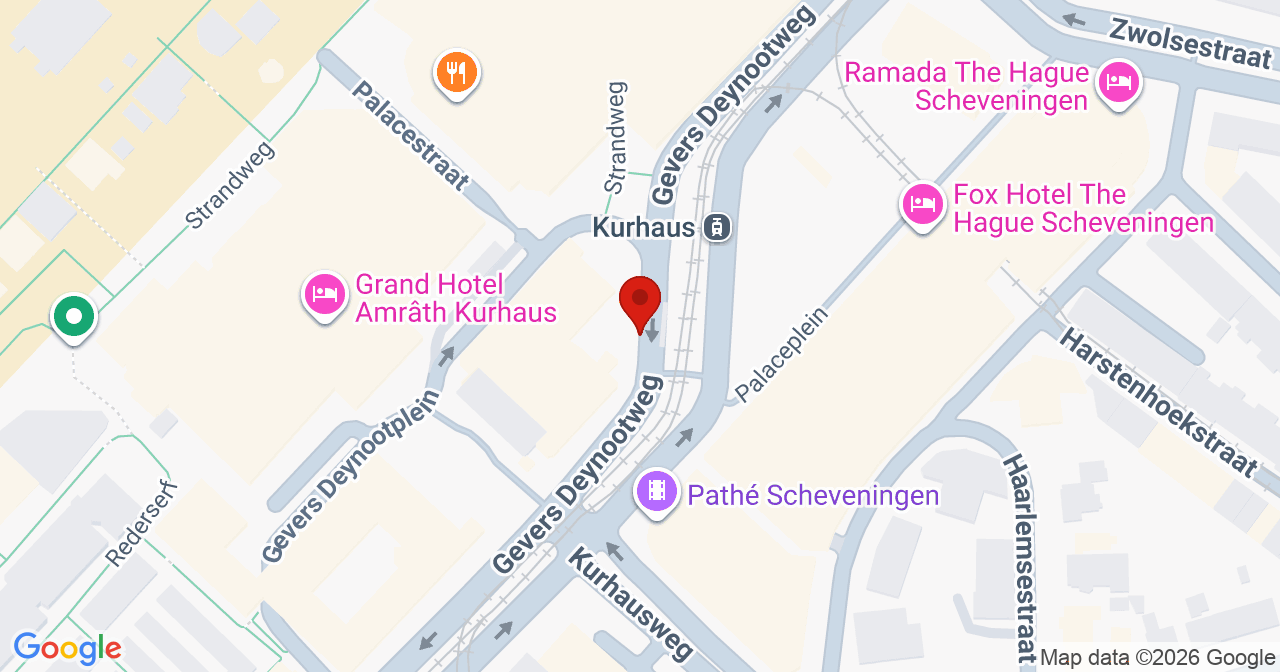 Kaart van het incident in 's-Gravenhage met de aanrijroutes van de gealarmeerde eenheden