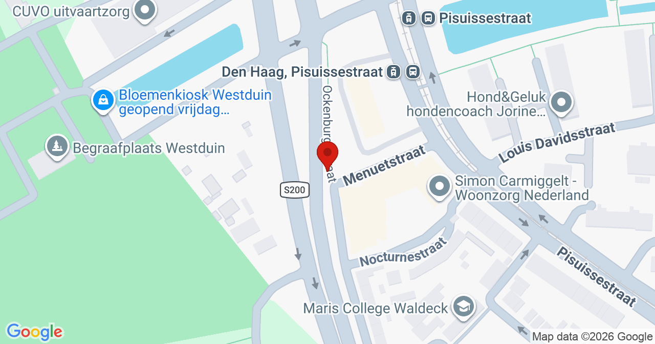 Kaart van het incident in 's-Gravenhage met de aanrijroutes van de gealarmeerde eenheden
