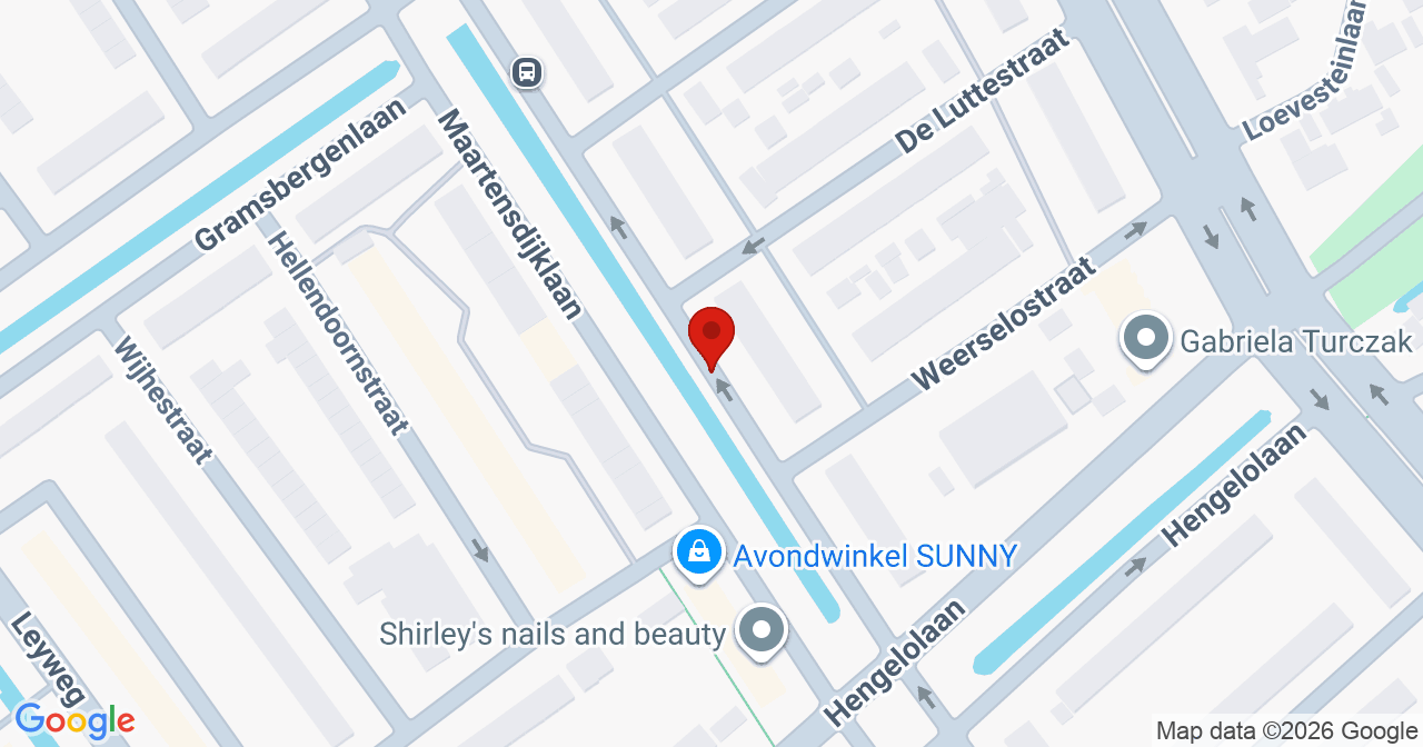 Kaart van het incident in 's-Gravenhage met de aanrijroutes van de gealarmeerde eenheden