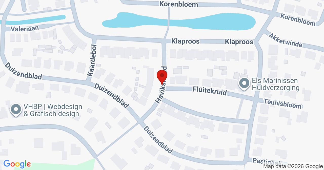 Kaart van het incident in Kapelle met de aanrijroutes van de gealarmeerde eenheden