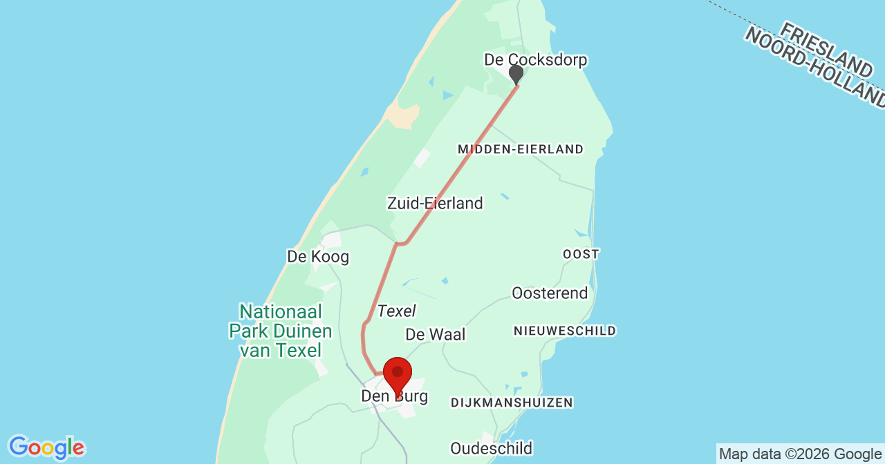 Kaart van het incident in Den Burg met de aanrijroutes van de gealarmeerde eenheden