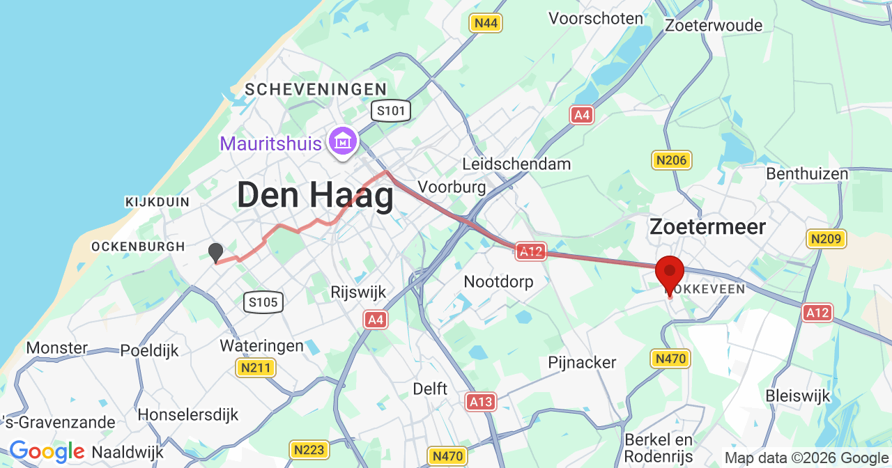 Kaart van het incident in Zoetermeer met de aanrijroutes van de gealarmeerde eenheden