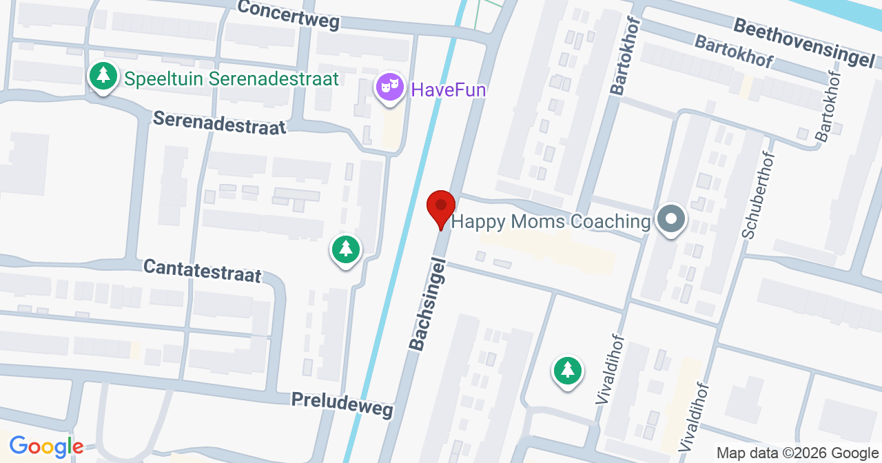 Kaart van het incident in Alphen aan den Rijn met de aanrijroutes van de gealarmeerde eenheden