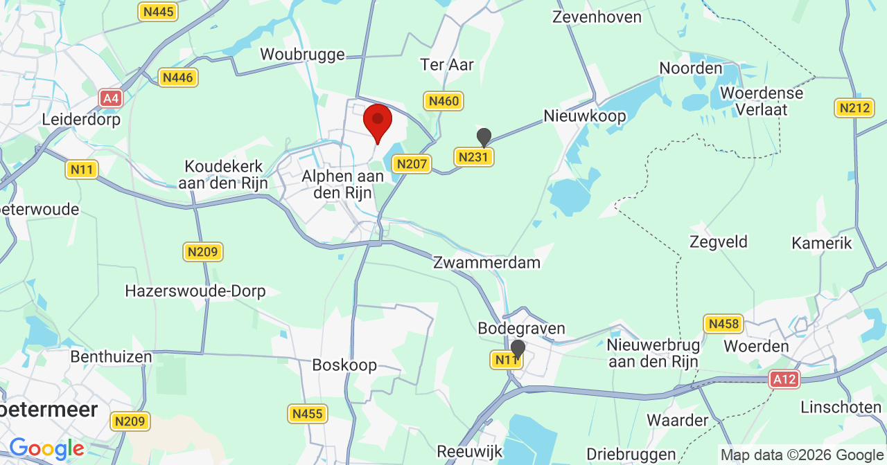 Kaart van het incident in Alphen aan den Rijn met de aanrijroutes van de gealarmeerde eenheden