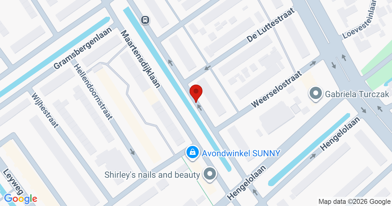 Kaart van het incident in 's-Gravenhage met de aanrijroutes van de gealarmeerde eenheden