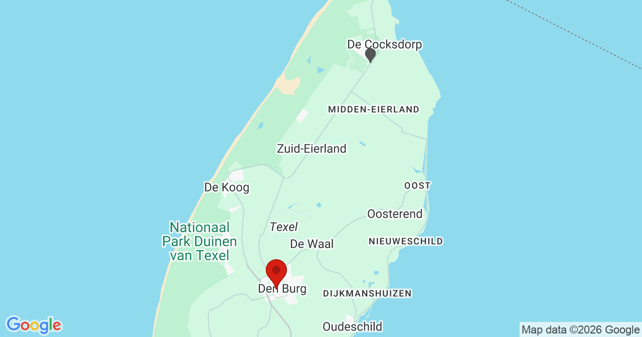 Kaart van het incident in Den Burg met de aanrijroutes van de gealarmeerde eenheden