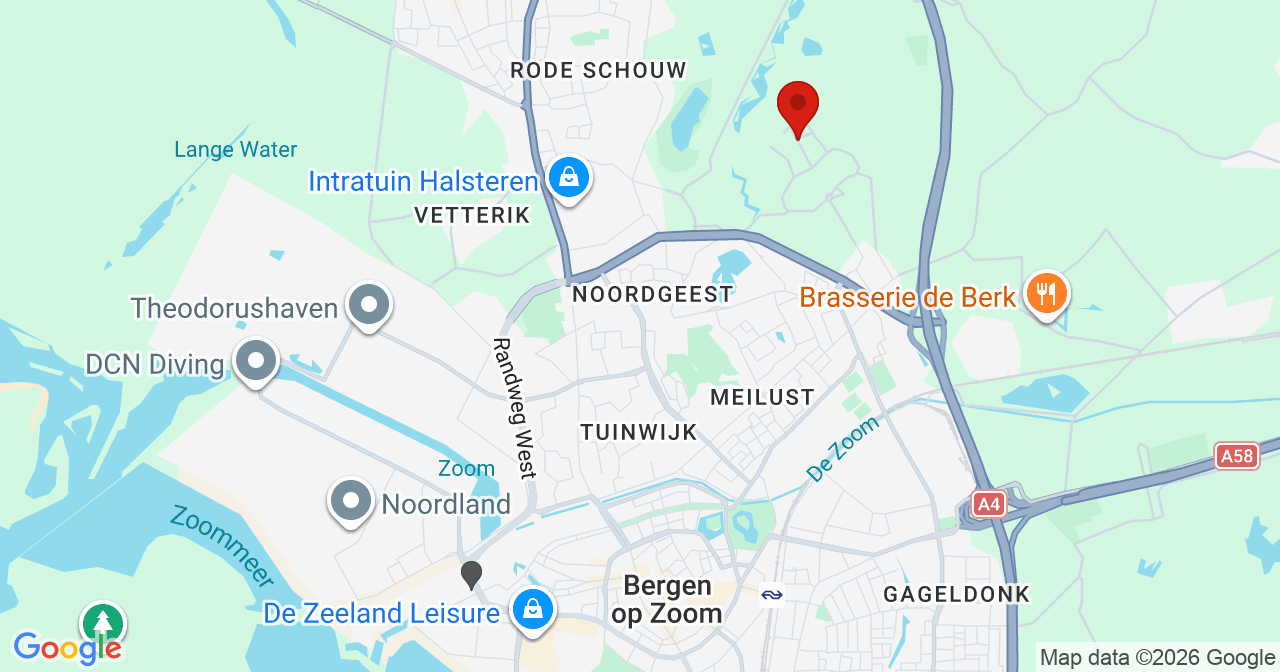 Kaart van het incident in Halsteren met de aanrijroutes van de gealarmeerde eenheden