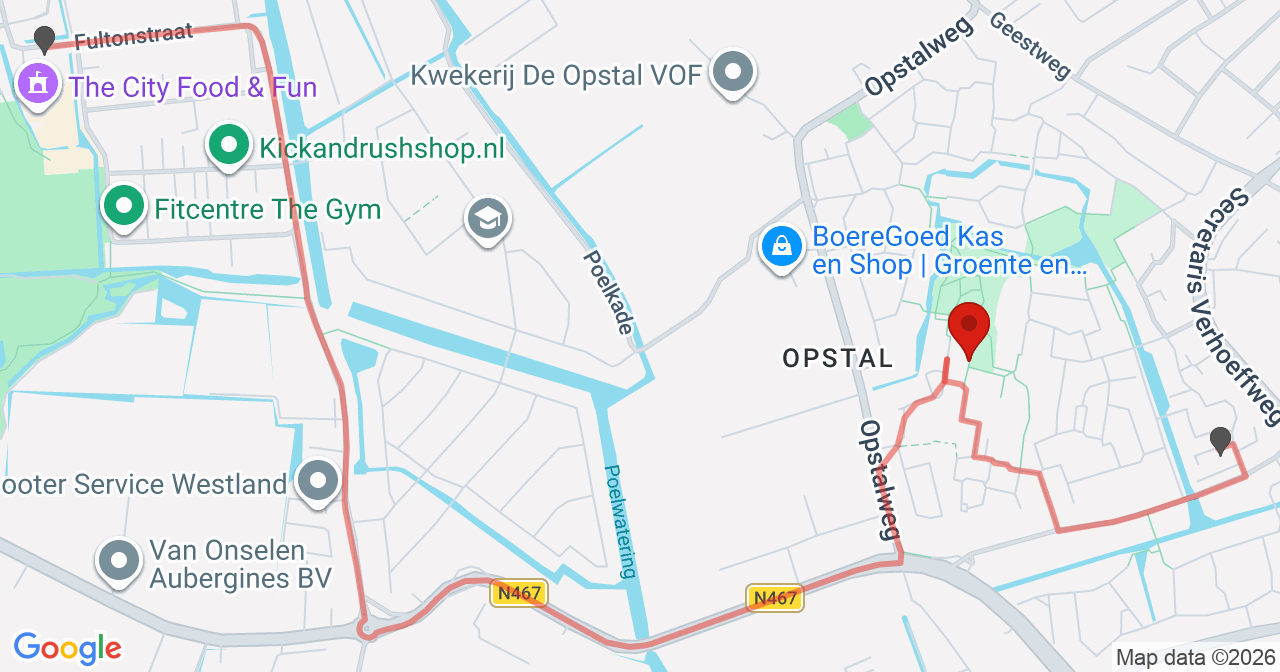Kaart van het incident in Naaldwijk met de aanrijroutes van de gealarmeerde eenheden