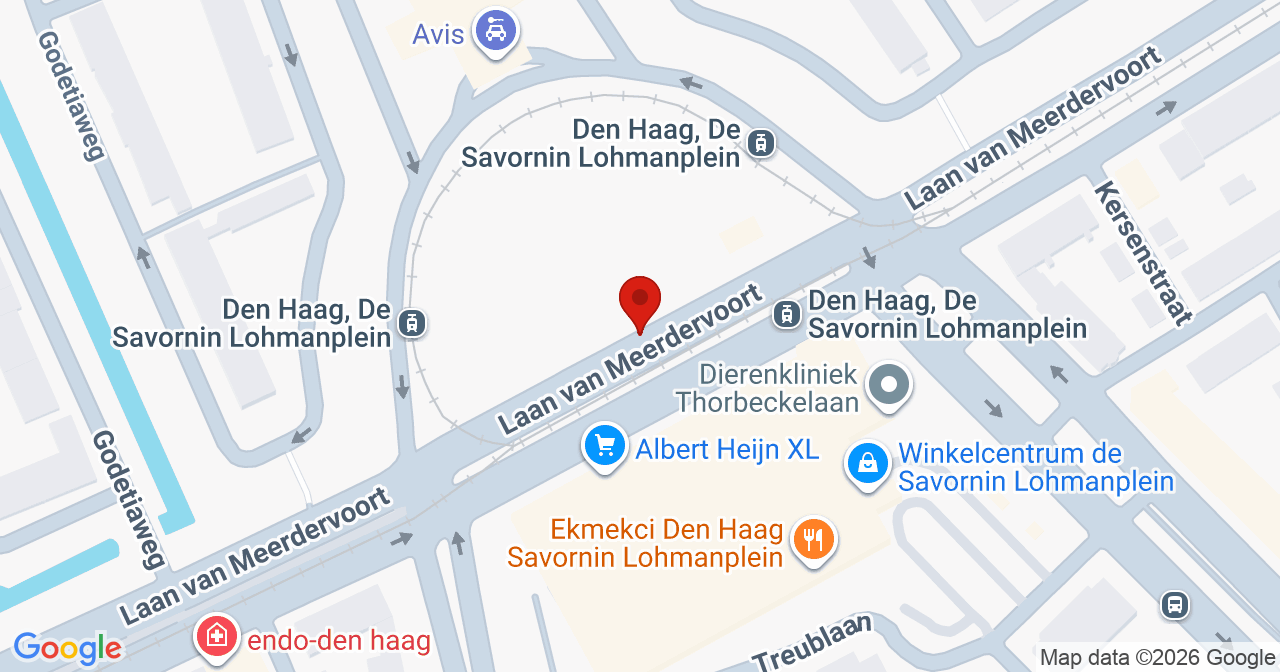 Kaart van het incident in 's-Gravenhage met de aanrijroutes van de gealarmeerde eenheden