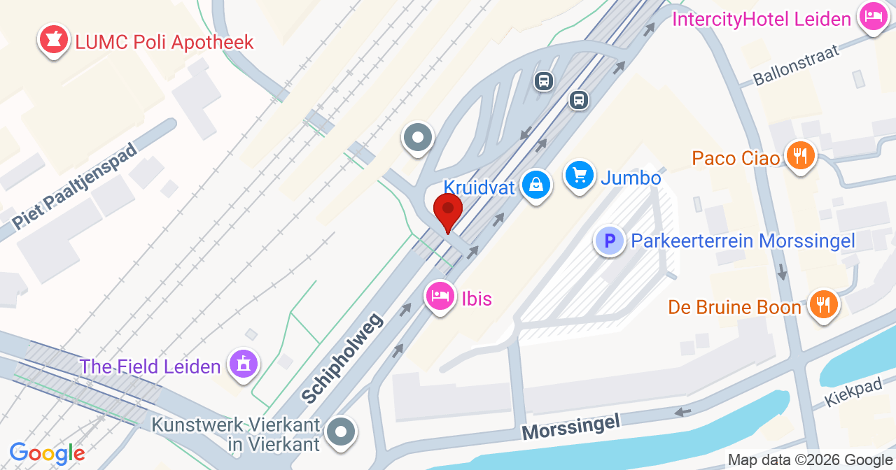 Kaart van het incident in Leiden met de aanrijroutes van de gealarmeerde eenheden