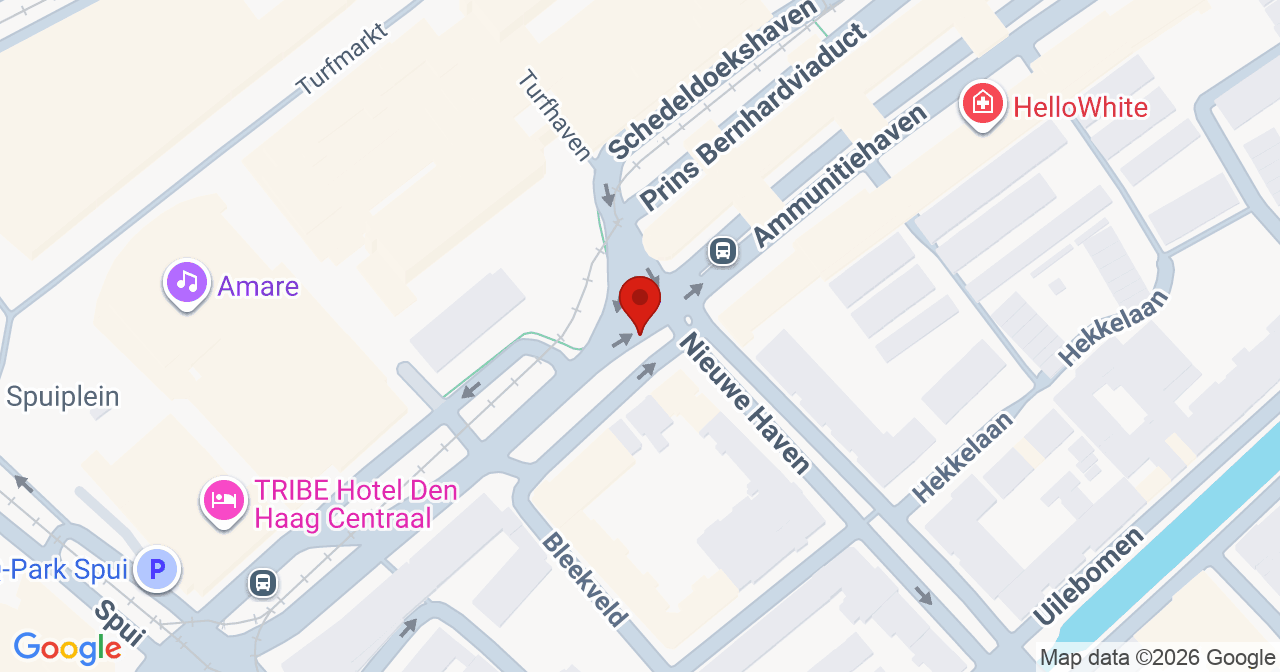 Kaart van het incident in 's-Gravenhage met de aanrijroutes van de gealarmeerde eenheden