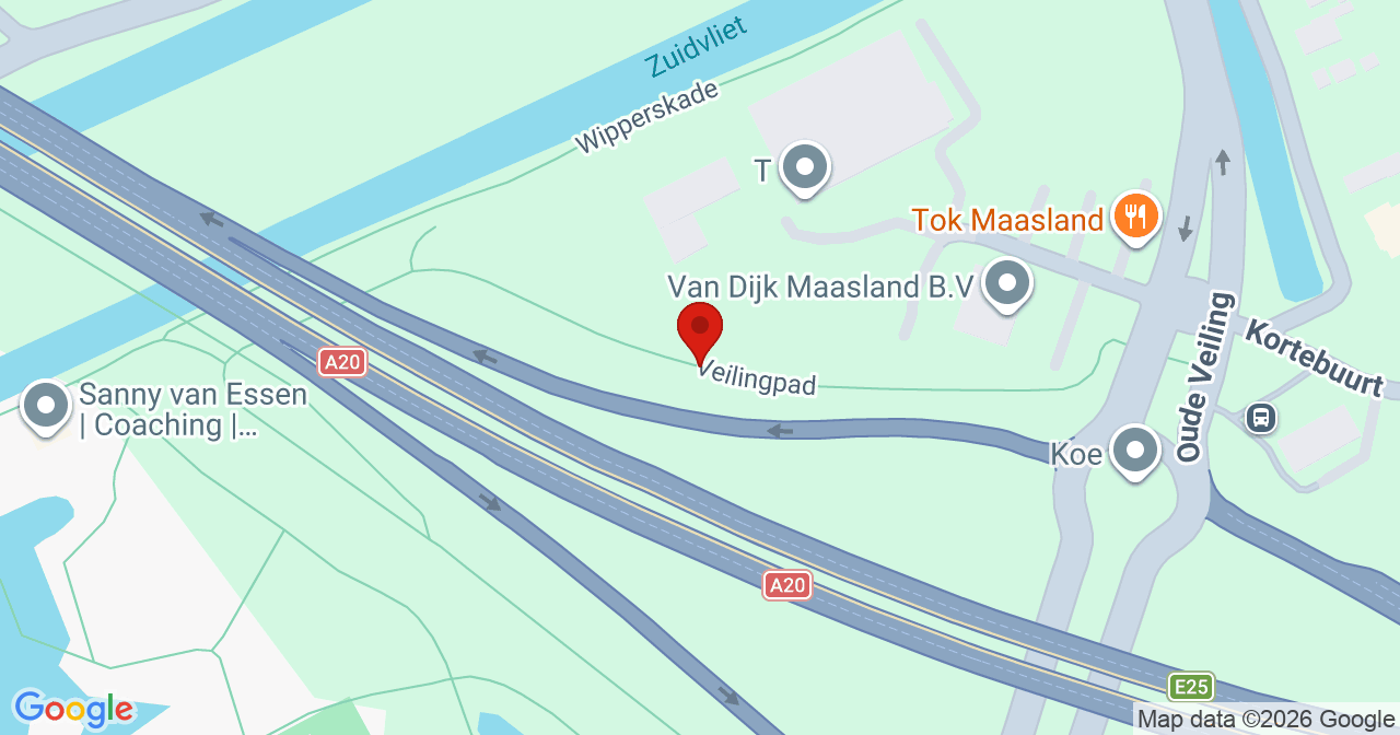 Kaart van het incident in Maasland met de aanrijroutes van de gealarmeerde eenheden