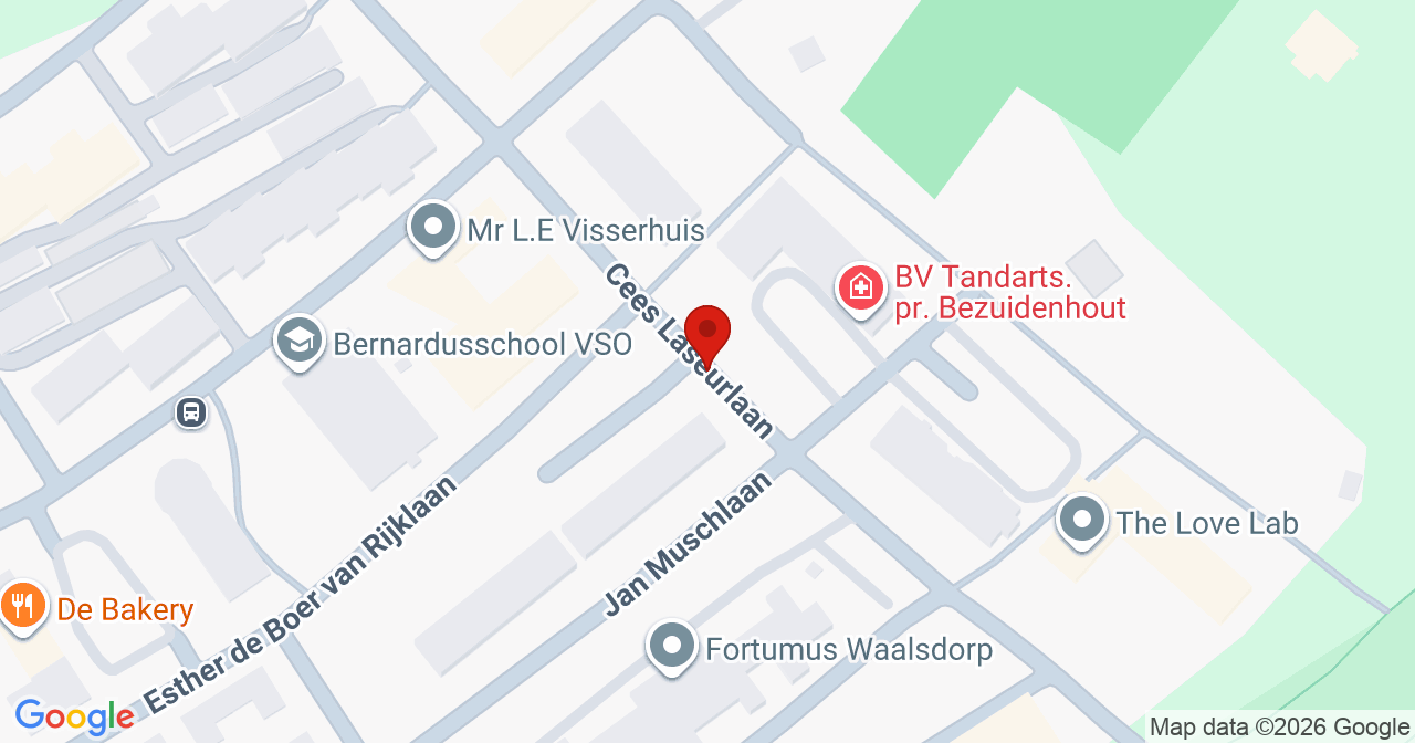 Kaart van het incident in 's-Gravenhage met de aanrijroutes van de gealarmeerde eenheden