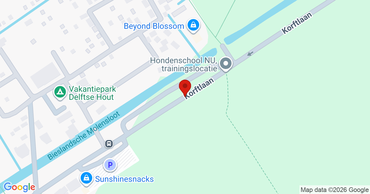 Kaart van het incident in Delfgauw met de aanrijroutes van de gealarmeerde eenheden