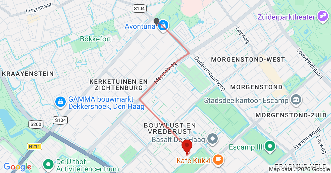 Kaart van het incident in 's-Gravenhage met de aanrijroutes van de gealarmeerde eenheden