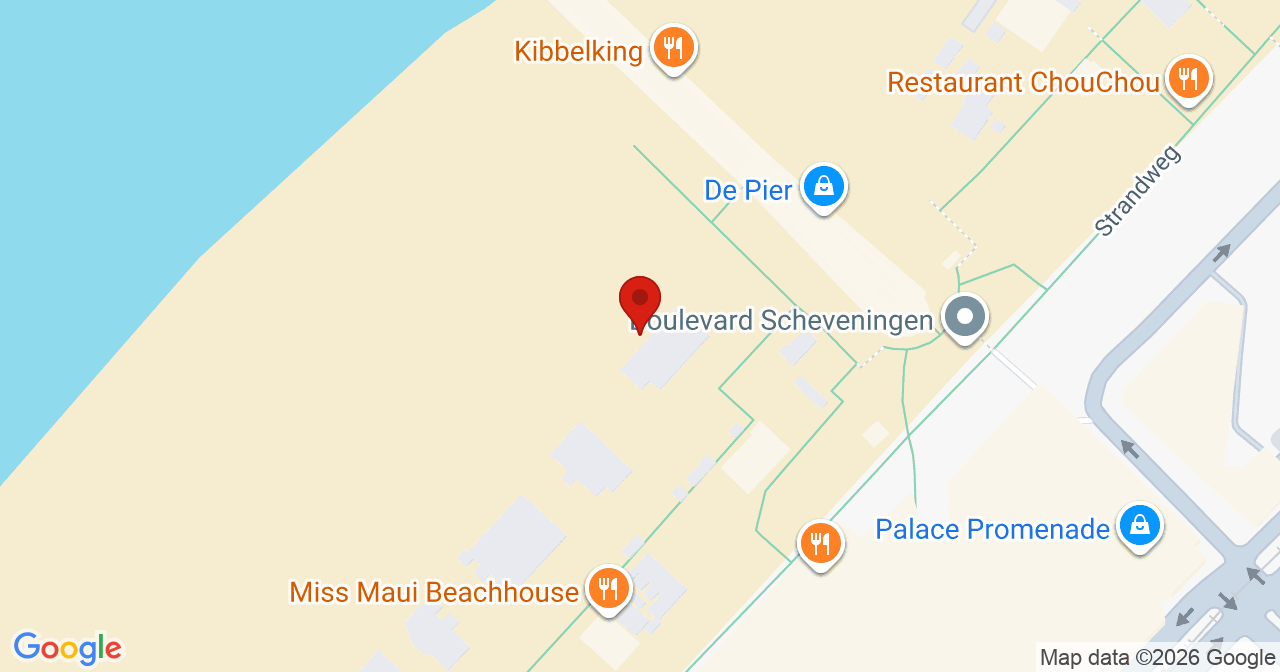 Kaart van het incident in 's-Gravenhage met de aanrijroutes van de gealarmeerde eenheden
