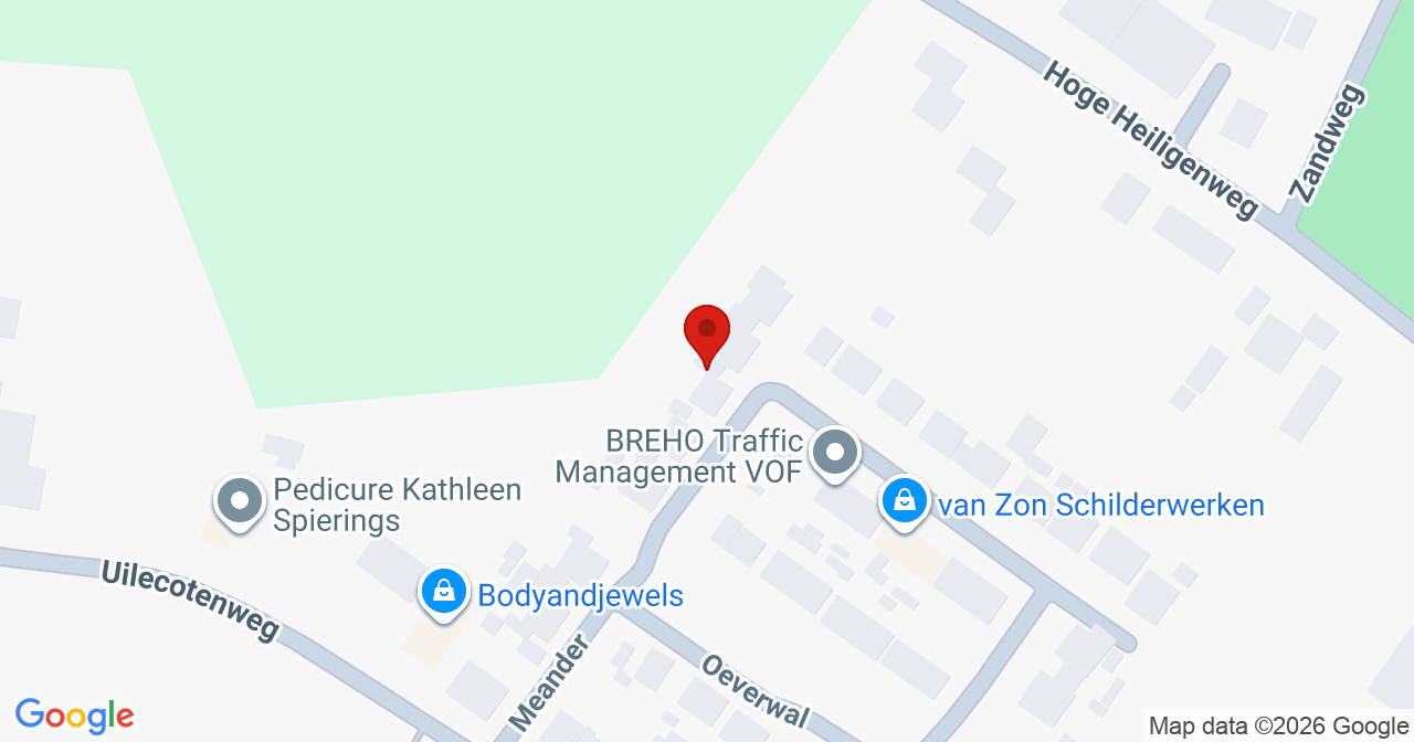Kaart van het incident in Ammerzoden met de aanrijroutes van de gealarmeerde eenheden