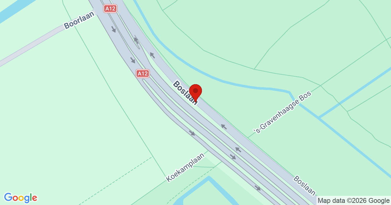 Kaart van het incident in 's-Gravenhage met de aanrijroutes van de gealarmeerde eenheden