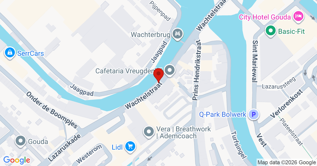 Kaart van het incident in Gouda met de aanrijroutes van de gealarmeerde eenheden